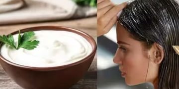 മുടി തഴച്ച് വളരാൻ പരീക്ഷിക്കാം തെെര് കൊണ്ടുള്ള ഹെയർ പാക്കുകൾ