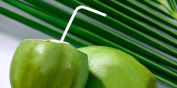 ദിവസവും ഇളനീർ കുടിക്കുന്നത് ശരീരത്തിന് നല്ലതാണോ ?