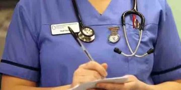 അടുക്കളതോട്ടത്തിന് ശല്യക്കാരായി അയൽവാസിയുടെ നായയും പൂച്ചകളും; നഴ്സ് അറസ്റ്റിൽ