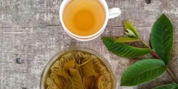 പേരയിലയിട്ട് തിളപ്പിച്ച വെള്ളം കുടിക്കൂ; ഈ രോഗത്തെ അകറ്റാം…