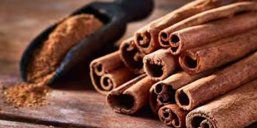 കറുവപ്പട്ടയുടെ ഈ ​ആരോ​ഗ്യ​ഗുണങ്ങൾ അറിയാതെ പോകരുത്