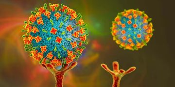 നിപ വൈറസിനെ പ്രതിരോധിക്കാനുള്ള വാക്സിന്റെ പരീക്ഷണം മനുഷ്യരിൽ തുടങ്ങി