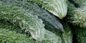 പാവയ്ക്ക കഴിക്കുന്നത് ശീലമാക്കൂ, ഈ രോ​ഗങ്ങളെ അകറ്റി നിർത്തും