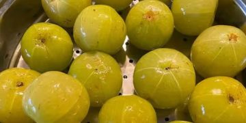 ആവിയിൽ വേവിച്ച നെല്ലിക്ക കഴിക്കുന്നത് ശീലമാക്കൂ, ​ഗുണങ്ങൾ ഇതൊക്കെയാണ്