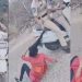 സമരത്തിനിടെ അറസ്റ്റ് നീക്കം: ഓടി രക്ഷപ്പെടാൻ ശ്രമിച്ച എബിവിപി പ്രവർത്തകയുടെ മുടിയിൽ പിടിച്ച് വീഴ്ത്തി പൊലീസ്