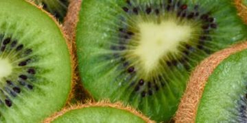 കിവിപ്പഴം ശരീരഭാരം കുറയ്ക്കാൻ സഹായിക്കുമോ?