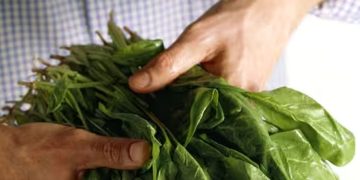 കണ്ണിന് കേടുപാടുകള്‍ സംഭവിക്കാതിരിക്കാനും കാഴ്ചശക്തി മെച്ചപ്പെടുത്താനും കഴിക്കേണ്ട ഭക്ഷണങ്ങള്‍…