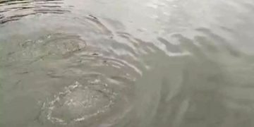 മലപ്പുറം നിലമ്പൂരിൽ സഹോദരങ്ങൾ മുങ്ങിമരിച്ചു