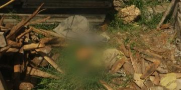 തൃപ്പൂണിത്തുറയില്‍ വീട് നിർമാണ സ്ഥലത്ത് തലയോട്ടിയും അസ്ഥികളും ; അന്വേഷണം ആരംഭിച്ചു