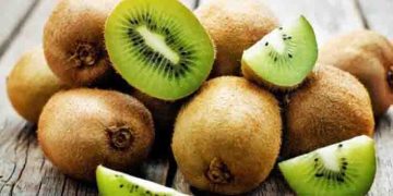 ഉണക്കിയ കിവി ഡയറ്റില്‍ ഉള്‍പ്പെടുത്തൂ; അറിയാം ഗുണങ്ങള്‍…