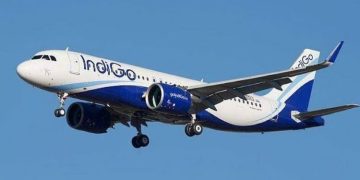 ഇന്‍ഡിഗോ വിമാനത്തിനുള്ളില്‍ പാറ്റ ;  പ്രതികരിച്ച് അധികൃതര്‍