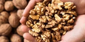 ദിവസവും ഒരു പിടി വാൾനട്ട് കഴിക്കണമെന്ന് പറയുന്നതിന്റെ കാരണം