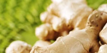 ദൈനംദിന ഭക്ഷണത്തിൽ ഇഞ്ചി ഉൾപ്പെടുത്തൂ, ​ഗുണമിതാണ്