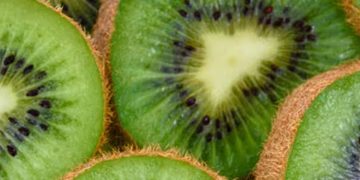 കിവിപ്പഴം ശരീരഭാരം കുറയ്ക്കാൻ സഹായിക്കുമോ?