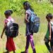 ഇ- ഗ്രാന്റ് സ്കോളർഷിപ്പ്: കുടിശ്ശികയായത് 548 കോടി