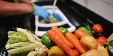 കയറ്റുമതിക്ക് കരാർ, വിദേശത്തേക്ക് ഇതാദ്യം; ഇനി യൂറോപ്പിലെ തീൻമേശകളിലേക്കുമെത്തും സൗദി പച്ചക്കറികൾ