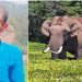 കാട്ടാന ആക്രമണത്തിൽ ഓട്ടോറിക്ഷാ ഡ്രൈവറുടെ മരണം: മൂന്നാറിൽ എൽഡിഎഫ് ഹര്ത്താൽ, റോഡ് ഉപരോധിക്കാൻ കോൺഗ്രസ്