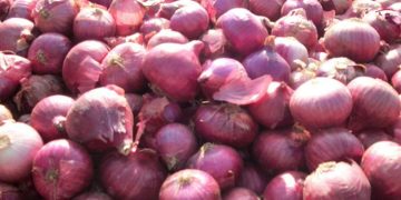 ഉള്ളി കയറ്റുമതി അനിശ്ചിതകാലത്തേക്ക് നീട്ടി കേന്ദ്രസർക്കാർ