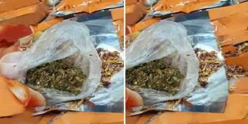 എത്തിയത് രണ്ട് കാര്‍ഗോ, പെട്ടിയില്‍ സവാള, ഉദ്യോഗസ്ഥര്‍ക്ക് സംശയം; എക്‌സ്റേ പരിശോധനയിൽ കണ്ടെത്തിയത് കഞ്ചാവ്