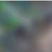 പമ്പയിൽ അജ്ഞാത മൃതദേഹം കണ്ടെത്തി; രണ്ട് മാസത്തിലധികം പഴക്കമുണ്ടെന്ന് പൊലീസ്, അന്വേഷണം