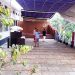 ‘80 സ്ക്വയർ’; മാതൃവിദ്യാലയത്തിന് പൂർവ വിദ്യാർഥികളുടെ ഓപൺ ഓഡിറ്റോറിയം