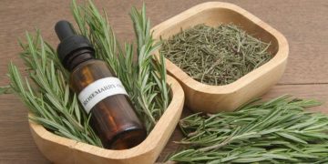 മുടികൊഴിച്ചിൽ കുറയ്ക്കാൻ റോസ് മേരി ; ഈ രീതിയിൽ ഉപയോ​ഗിക്കൂ