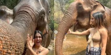 തായ്‌ലാഡില്‍ ആനയെ കുളിപ്പിച്ച് സാനിയ; കുസൃതികാട്ടിയും ഭക്ഷണം കൊടുത്തും താരം- വീഡിയോ