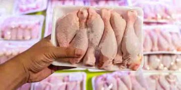 കര്‍ശന പരിശോധന; പിടികൂടിയത് ഭക്ഷ്യയോഗ്യമല്ലാത്ത എട്ട് ടൺ കോഴിയിറച്ചി