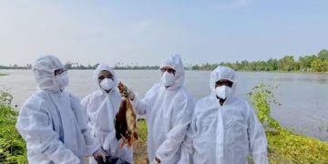 പക്ഷിപ്പനി ; ആശങ്ക വേണ്ട ജാഗ്രത മതിയെന്ന് മന്ത്രിചിഞ്ചുറാണി