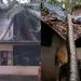 വേനല് മഴയും കാറ്റും; മരങ്ങള് കടപുഴകി വീണ് നാശനഷ്ടം, നാല് വീടുകളും വൈദ്യുത പോസ്റ്റുകളും തകർന്നു