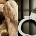 സുഗന്ധഗിരി മരംകൊള്ള: വനം വകുപ്പ് ഉദ്യോഗസ്ഥരെ അറസ്റ്റു ചെയ്യണമെന്ന് പ്രകൃതി സംരക്ഷണ സമിതി