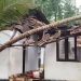ശക്തമായ മഴയും കാറ്റും; വീടിന് മുകളിലേക്ക് തെങ്ങ് വീണ് വീട്ടമ്മക്ക് പരുക്ക്