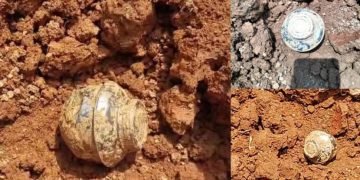 നാദാപുരത്ത് ഭീതി പരത്തി വ്യാജ സ്റ്റീൽ ബോംബ്; കണ്ടത്തിയത് ജെസിബി ഉപയോഗിച്ച് മണ്ണ് മാറ്റുന്നതിനിടെ