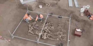 2,000 വർഷം മുമ്പ് അടക്കം ചെയ്ത 28 കുതിരകള്‍; ബലി ആണെന്ന് സംശയിക്കുന്നതായി ഫ്രഞ്ച് പുരാവസ്തു ഗവേഷകര്‍