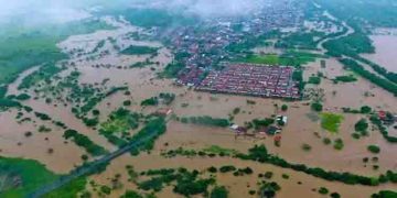 പ്രളയത്തിന് പിന്നാലെ ബ്രസീലിലെ നഗരങ്ങളിൽ പിടിമുറുക്കി എലിപ്പനിയും