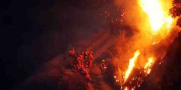 ചിലെയിലുണ്ടായ കാട്ടുതീക്ക് പിന്നിൽ അട്ടിമറിയെന്ന് കണ്ടെത്തൽ, 2 സർക്കാർ ഉദ്യോഗസ്ഥർ അറസ്റ്റിൽ