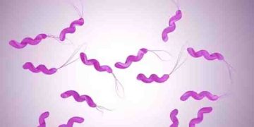 ഇനി മഴക്കാലമാണ്, എലിപ്പനി കേസുകള്‍ കൂടാം; അറിയാം ലക്ഷണങ്ങളും പ്രതിരോധ മാര്‍ഗങ്ങളും