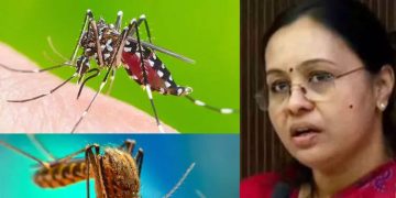 ഡെങ്കിപ്പനി വ്യാപന സാധ്യത, വരുന്ന ഞായറാഴ്ച വീടുകളില്‍ ഡ്രൈ ഡേ ആചരിക്കണമെന്ന് വീണ ജോര്‍ജ്