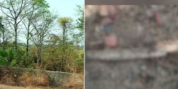 കഞ്ചിക്കോട് കോച്ച് ഫാക്ടറിക്ക് വേണ്ടി ഏറ്റെടുത്ത ഭൂമിയിൽ അസ്ഥികൂടം കണ്ടെത്തി