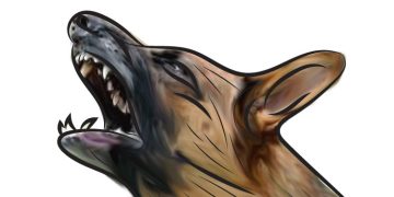 തെ​രു​വു​നാ​യ് ആ​ക്ര​മ​ണം; കു​ട്ടി​ക​ള​ട​ക്കം നി​ര​വ​ധി പേ​ർ​ക്ക് പ​രി​ക്ക്