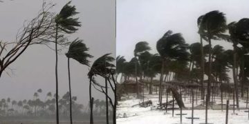 ശക്തമായ കാറ്റിനെ നേരിടാനുള്ള പൊതുജാഗ്രത നിർദേശങ്ങൾ പുറത്തിറക്കി