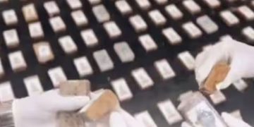 27 കിലോ ഹാഷിഷും കഞ്ചാവും, 200 ലഹരി ഗുളികകള്‍, 34 കുപ്പി മദ്യം; ലഹരിക്കടത്ത് ശൃംഖല തകർത്തു, അഞ്ച് പേ‍ർ പിടിയിൽ