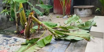 മദ്യപാനവും ലഹരി ഉപയോഗവും ചോദ്യം ചെയ്തു; ഗൃഹനാഥൻ്റെ വീടിനു നേരെ ആക്രമണം, പരാതി നൽകി