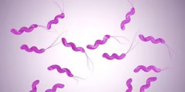 ഇനി മഴക്കാലമാണ്, എലിപ്പനി കേസുകള്‍ കൂടാം; അറിയാം ലക്ഷണങ്ങളും പ്രതിരോധ മാര്‍ഗങ്ങളും