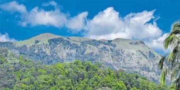 സൂക്ഷ്മപരിശോധന തുടരുന്നു; പരിസ്ഥിതി സംവേദ മേഖല ഇനിയും കുറഞ്ഞേക്കും