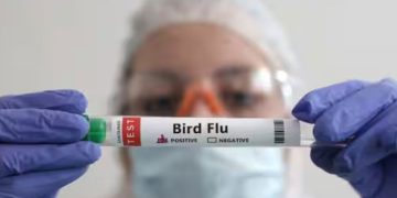 ഓസ്ട്രേലിയയിൽ ആദ്യമായി മനുഷ്യനിൽ പക്ഷിപ്പനി സ്ഥിരീകരിച്ചു