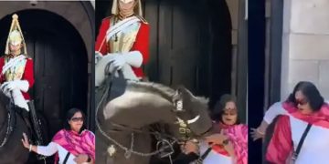 വിനോദസഞ്ചാരി ഫോട്ടോക്ക് പോസ് ചെയ്തു; തട്ടിമാറ്റി ബ്രിട്ടീഷ് കൊട്ടാരത്തിലെ കുതിര