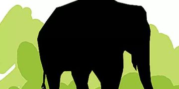 വയനാട് നൂൽപ്പുഴയിൽ കാട്ടാന ആക്രമണത്തിൽ ഒരാൾക്ക് പരിക്ക്