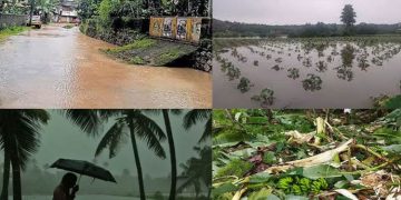 ഉഷ്ണതരംഗം, മഴക്കെടുതി: കൃഷിനാശനഷ്ട പരിഹാരത്തിന് അപേക്ഷിക്കാം