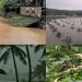 ഉഷ്ണതരംഗം, മഴക്കെടുതി: കൃഷിനാശനഷ്ട പരിഹാരത്തിന് അപേക്ഷിക്കാം